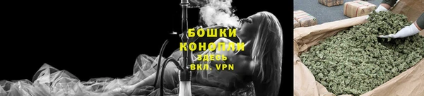 прущие грибы Володарск