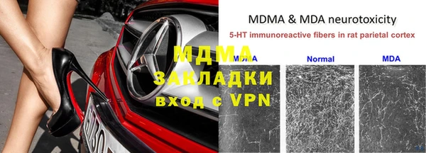 прущие грибы Володарск