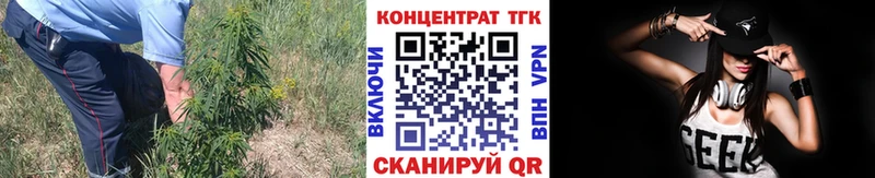 кракен ТОР  цена   Владимир  Дистиллят ТГК THC oil 