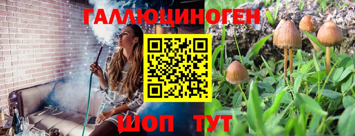 Галлюциногенные грибы мухоморы  Псилоцибиновые грибы Psilocybe  Вход с VPN  Владимир 