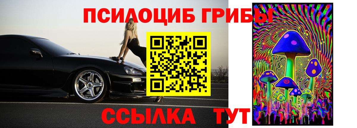 Галлюциногенные грибы Cubensis Владимир