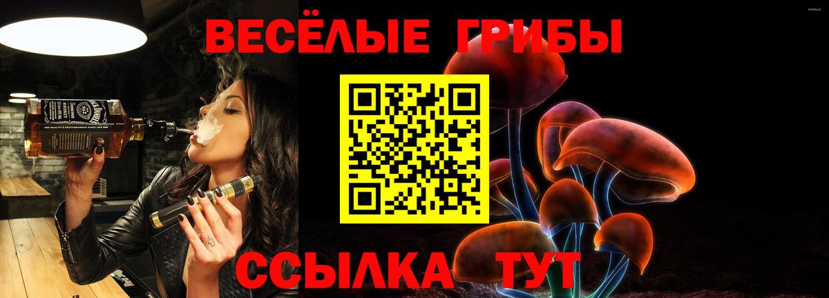 Псилоцибиновые грибы Magic Shrooms  Владимир  Галлюциногенные грибы мицелий 