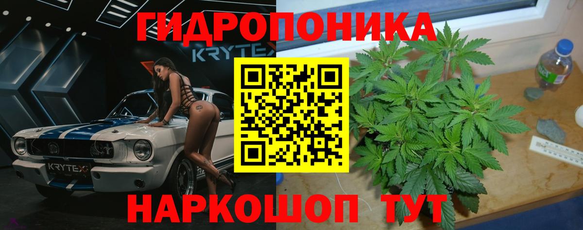 Бошки марихуана сатива  Бошки Шишки MAZAR  Вход с VPN  Марихуана индика  Владимир  МАРИХУАНА марихуана 